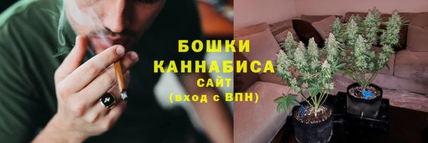 гашик Медногорск