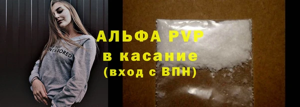 гашик Медногорск