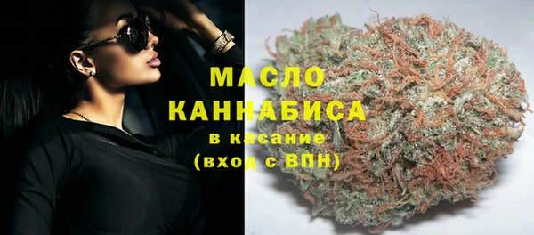гашик Медногорск