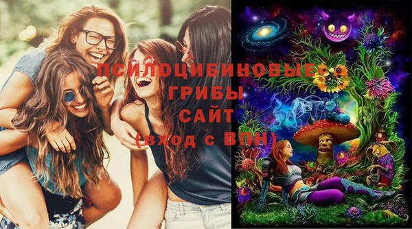 мяу мяу мука Медвежьегорск