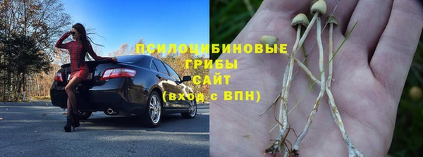 гашик Медногорск